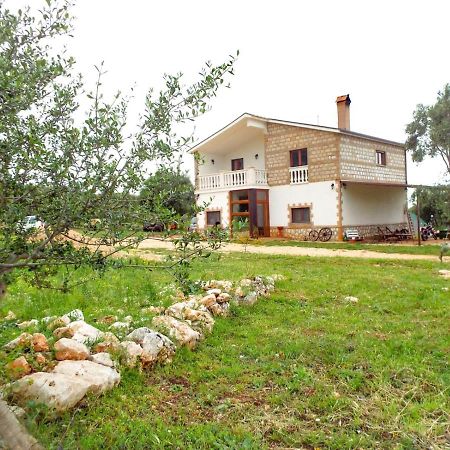 Gio Horses B&B San Nicandro Garganico Ngoại thất bức ảnh