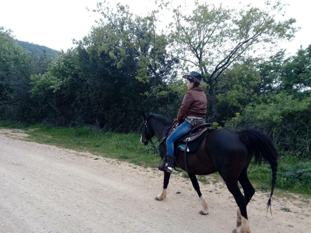Gio Horses B&B San Nicandro Garganico Ngoại thất bức ảnh