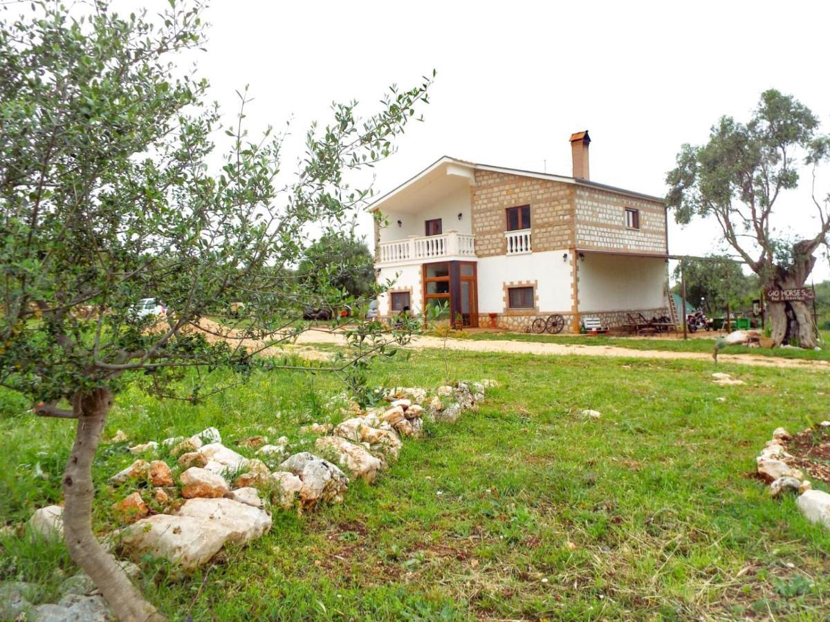 Gio Horses B&B San Nicandro Garganico Ngoại thất bức ảnh